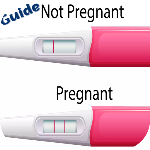 Pregnancy Test & Signs Guide